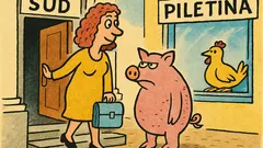 Vic: Kako se žena štiti od svinjske gripe?